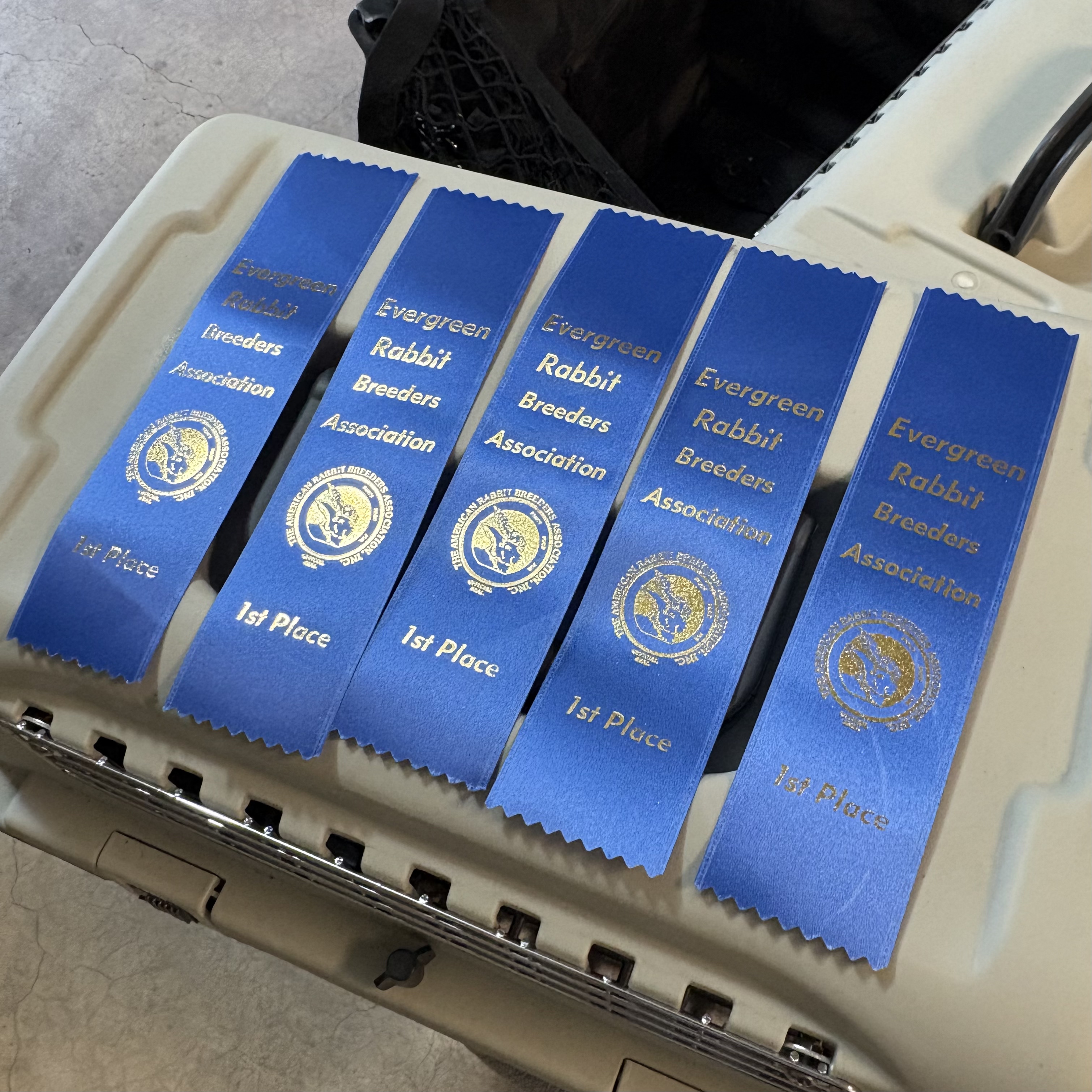 ERBA show ribbons